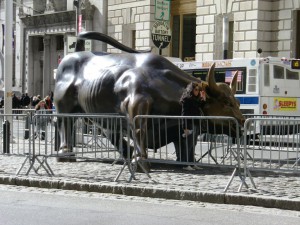 Charging Bull